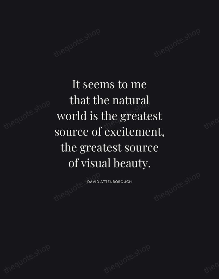 It seems to me that the natural world is the greatest source… — David Attenborough | Printable Wall Art — Midnight Serif