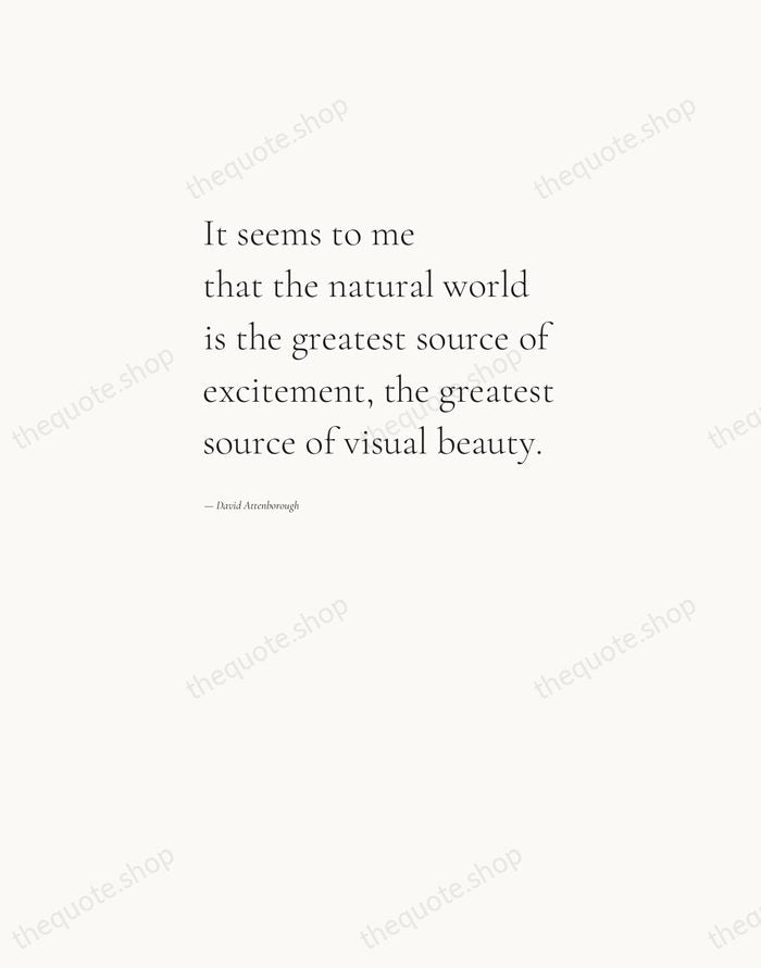 It seems to me that the natural world is the greatest source… — David Attenborough — Editorial Left Serif