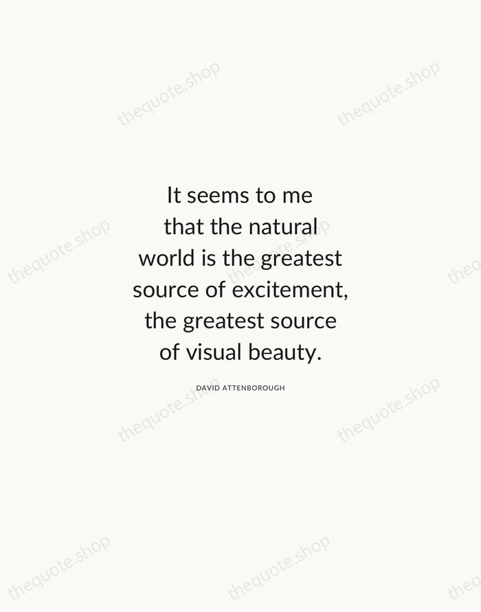 It seems to me that the natural world is the greatest source… — David Attenborough — Modern Sans Calm
