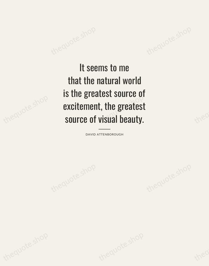 It seems to me that the natural world is the greatest source… — David Attenborough — Letterpress Caps