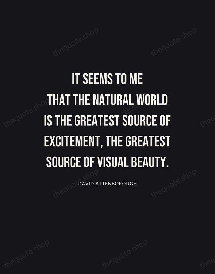 It seems to me that the natural world is the greatest source… — David Attenborough | Printable Wall Art — Poster Condensed