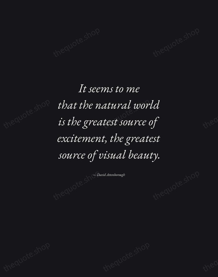 It seems to me that the natural world is the greatest source… — David Attenborough — Manuscript Italic