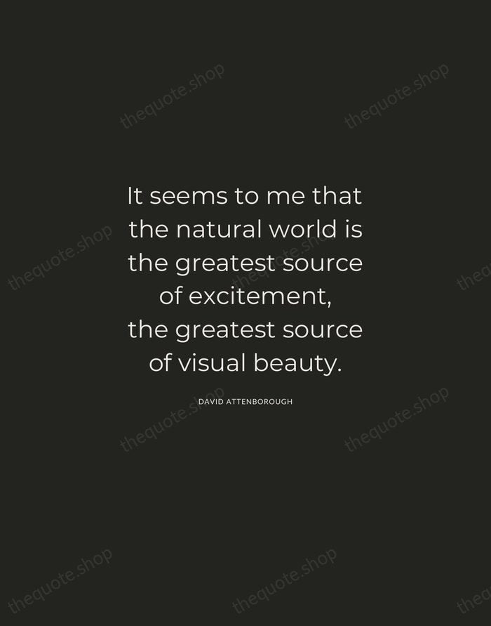 It seems to me that the natural world is the greatest source… — David Attenborough — Charcoal Sans