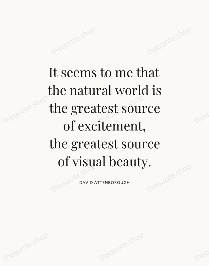It seems to me that the natural world is the greatest source… — David Attenborough — Statement Serif