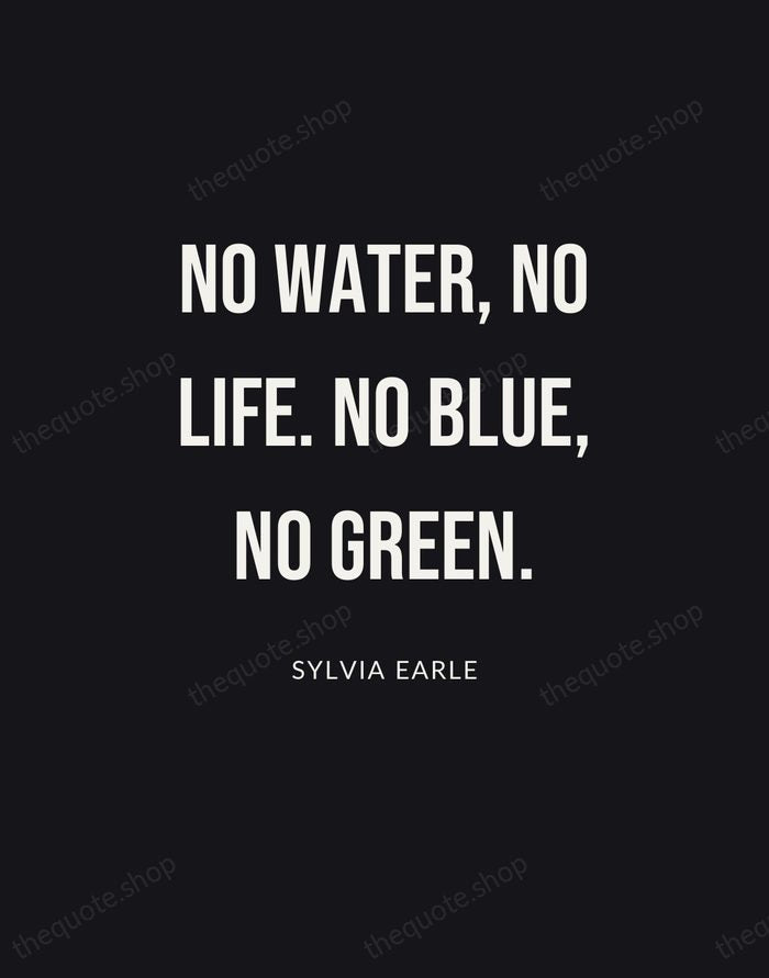 No water, no life. No blue, no green. — Sylvia Earle | Printable Wall Art — Poster Condensed