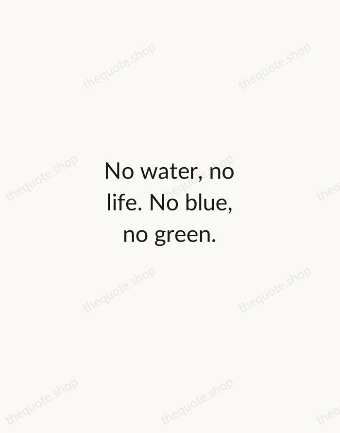 No water, no life. No blue, no green. — Sylvia Earle — Minimal Unsigned