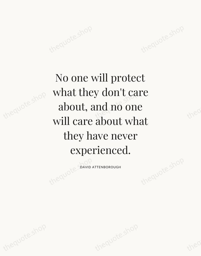 No one will protect what they don't care about, and no one… — David Attenborough | Printable Wall Art — Atelier Serif