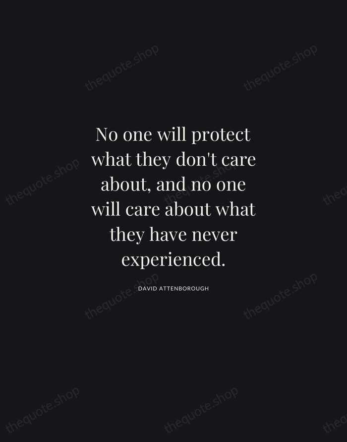 No one will protect what they don't care about, and no one… — David Attenborough | Printable Wall Art — Midnight Serif