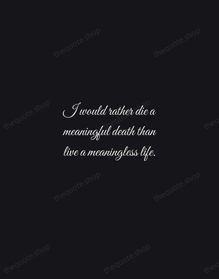 I would rather die a meaningful death than live a meaningless life. — Corazon Aquino — Night Script