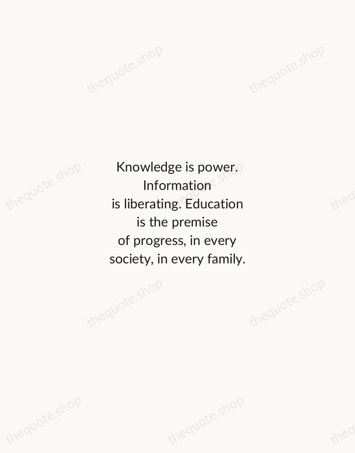 Knowledge is power. Information is liberating. Education is the premise of progress… — Kofi Annan — Minimal Unsigned