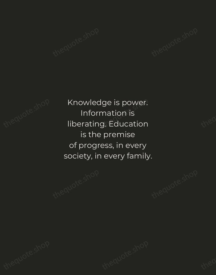 Knowledge is power. Information is liberating. Education is the premise of progress… — Kofi Annan — Tracked Caps Unsigned