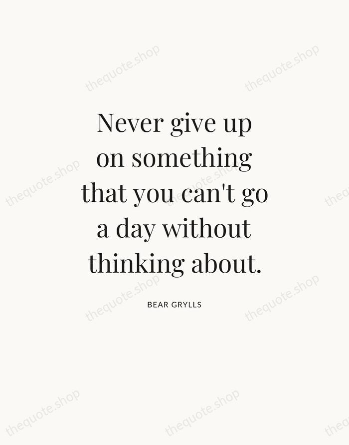 Never give up on something that you can't go a day without… — Bear Grylls — Statement Serif