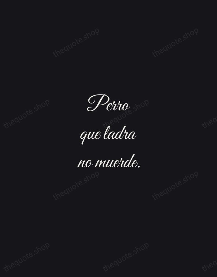 Perro que ladra no muerde. — Spanish Proverb — Night Script