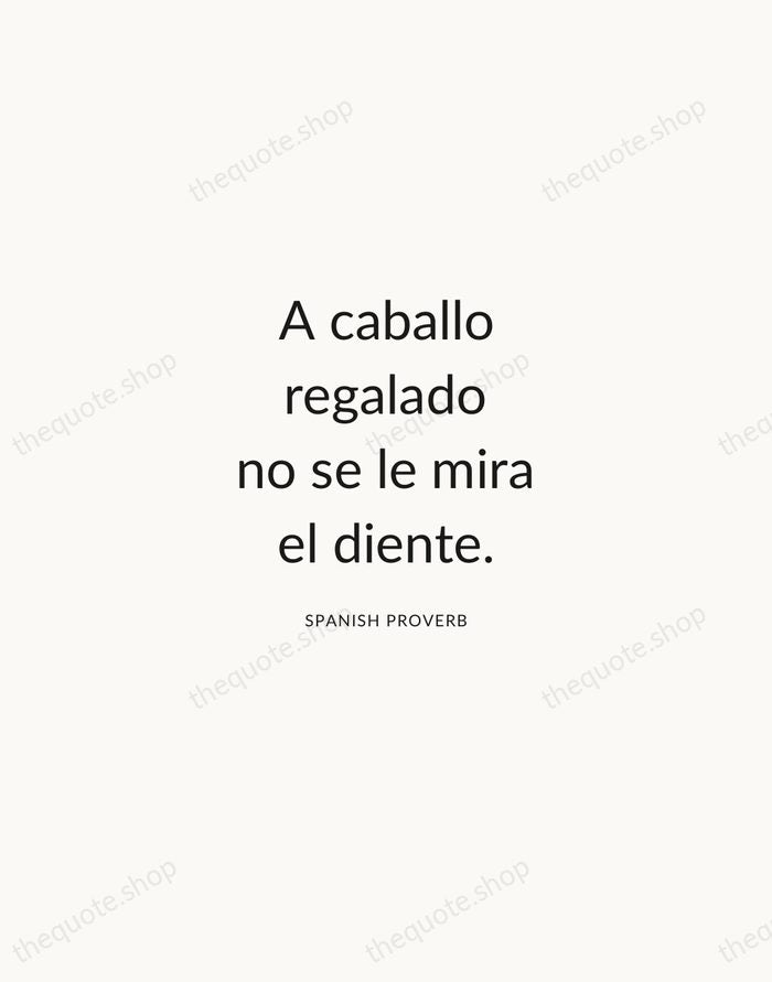 A caballo regalado no se le mira el diente. — Spanish Proverb — Modern Sans Calm