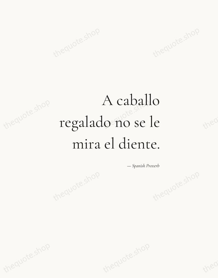 A caballo regalado no se le mira el diente. — Spanish Proverb — Soft Serif Right