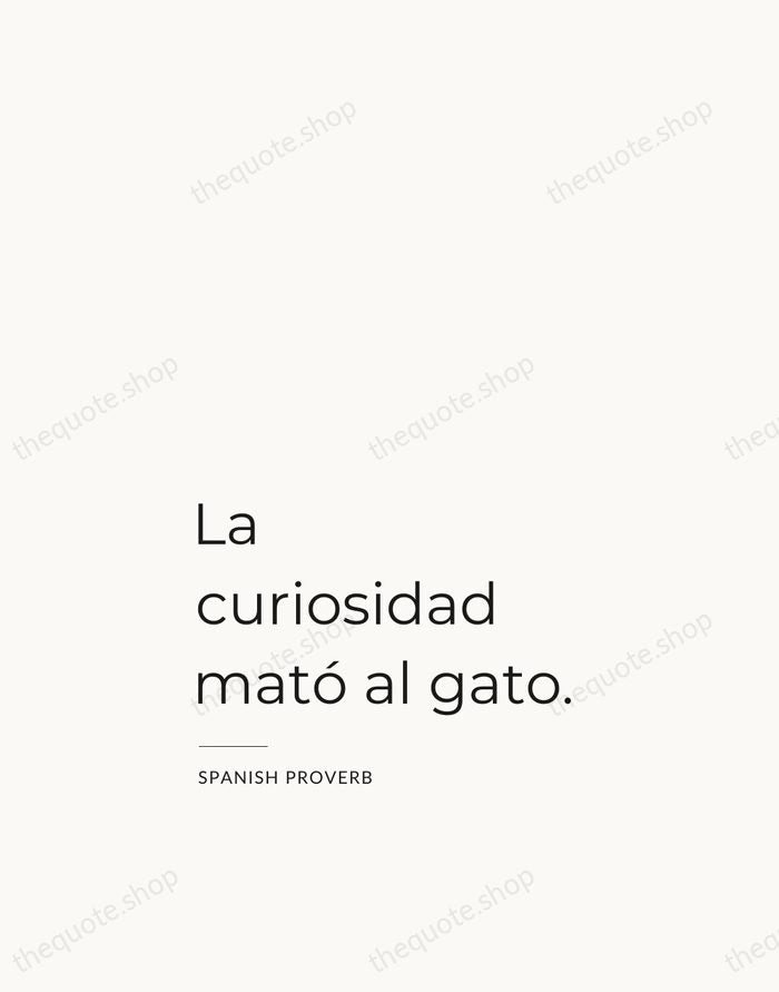 La curiosidad mató al gato. — Spanish Proverb — Studio Left
