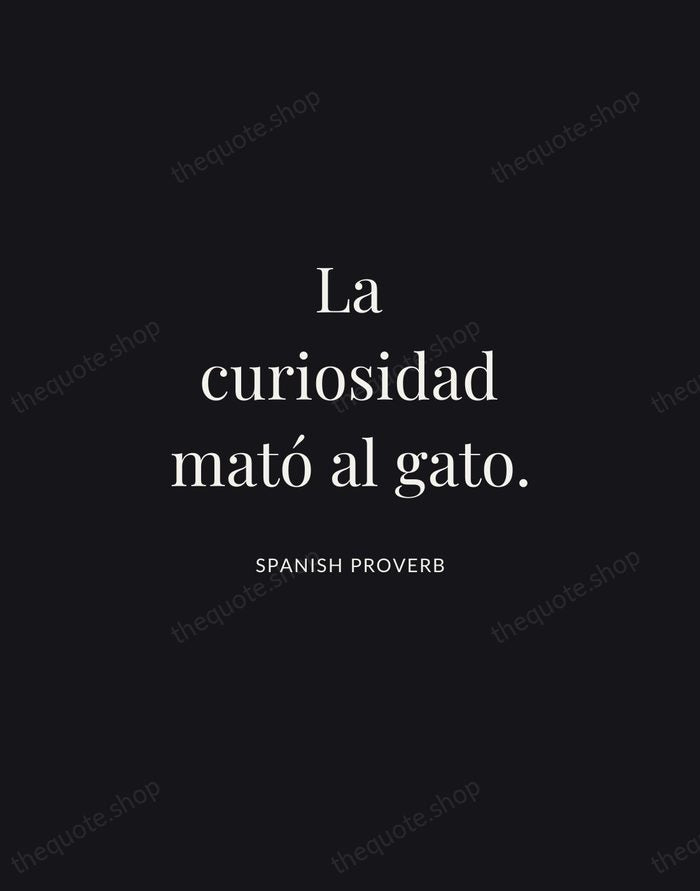 La curiosidad mató al gato. — Spanish Proverb | Printable Wall Art — Midnight Serif