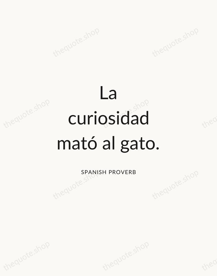 La curiosidad mató al gato. — Spanish Proverb — Modern Sans Calm