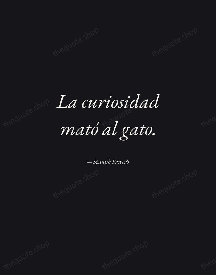 La curiosidad mató al gato. — Spanish Proverb — Manuscript Italic