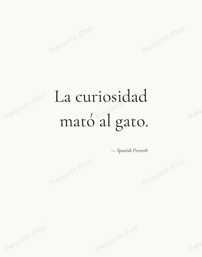 La curiosidad mató al gato. — Spanish Proverb — Soft Serif Right