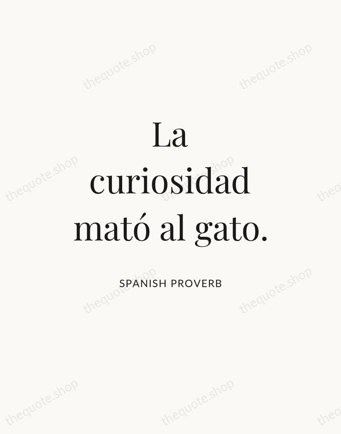La curiosidad mató al gato. — Spanish Proverb — Statement Serif