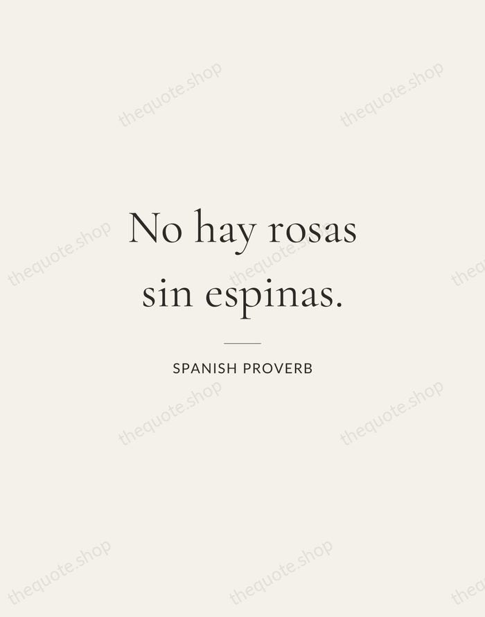 No hay rosas sin espinas. — Spanish Proverb — Gallery Rule