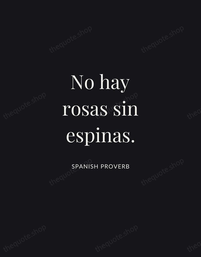No hay rosas sin espinas. — Spanish Proverb | Printable Wall Art — Midnight Serif
