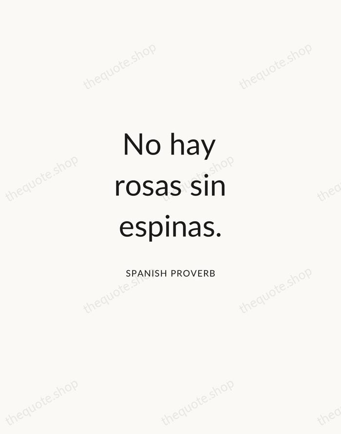 No hay rosas sin espinas. — Spanish Proverb — Modern Sans Calm
