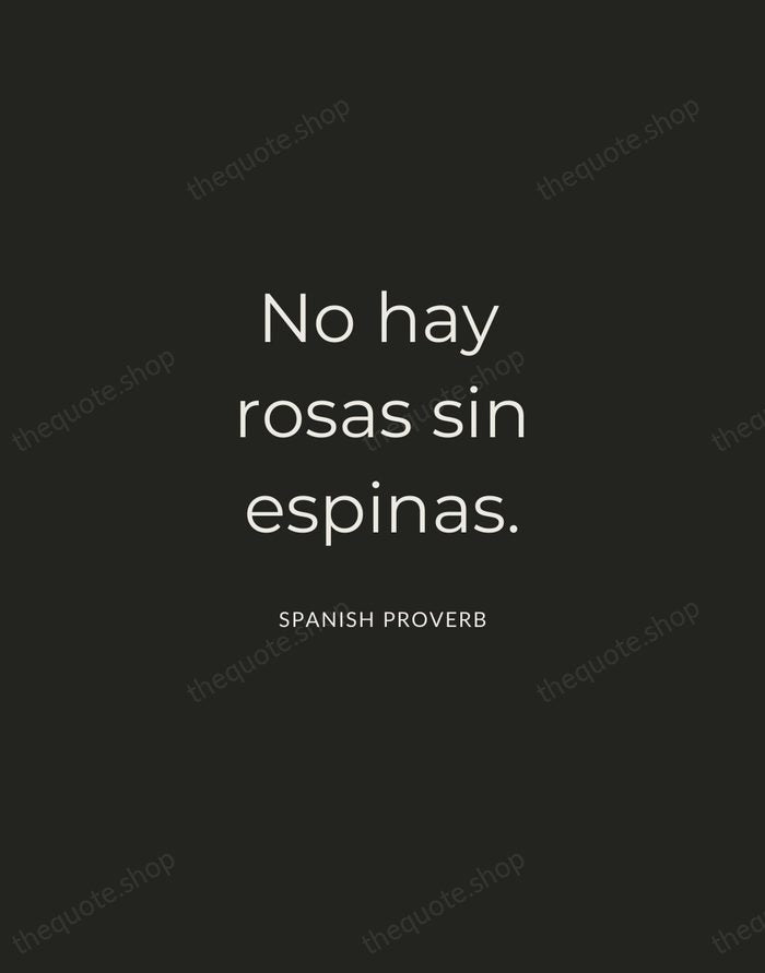 No hay rosas sin espinas. — Spanish Proverb — Charcoal Sans