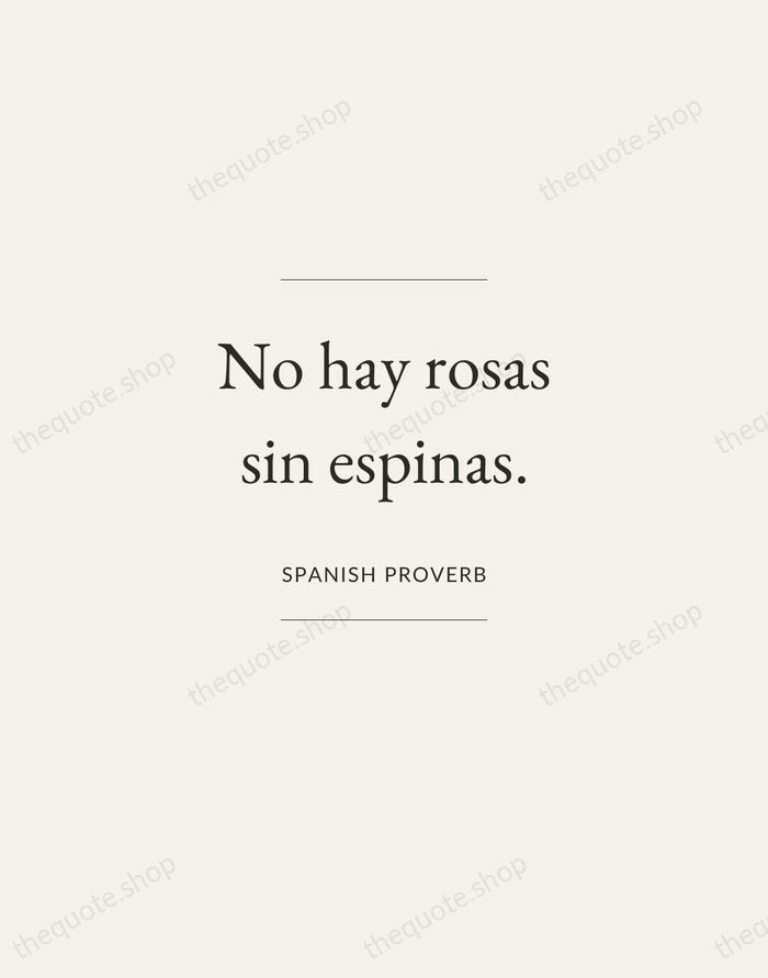 No hay rosas sin espinas. — Spanish Proverb — Gallery Frame