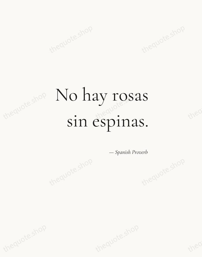 No hay rosas sin espinas. — Spanish Proverb — Soft Serif Right
