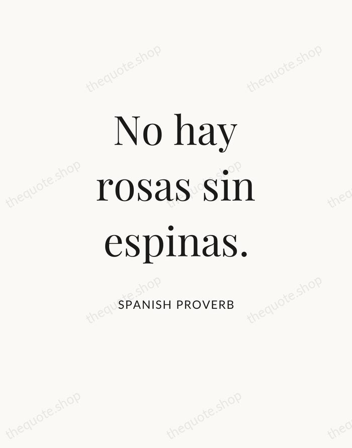 No hay rosas sin espinas. — Spanish Proverb — Statement Serif