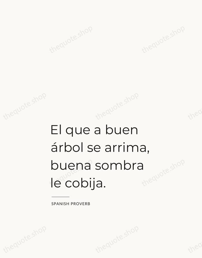 El que a buen árbol se arrima, buena sombra le cobija. — Spanish Proverb — Studio Left