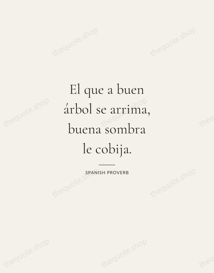 El que a buen árbol se arrima, buena sombra le cobija. — Spanish Proverb — Gallery Rule