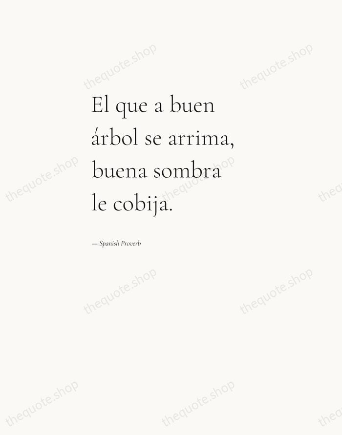 El que a buen árbol se arrima, buena sombra le cobija. — Spanish Proverb — Editorial Left Serif