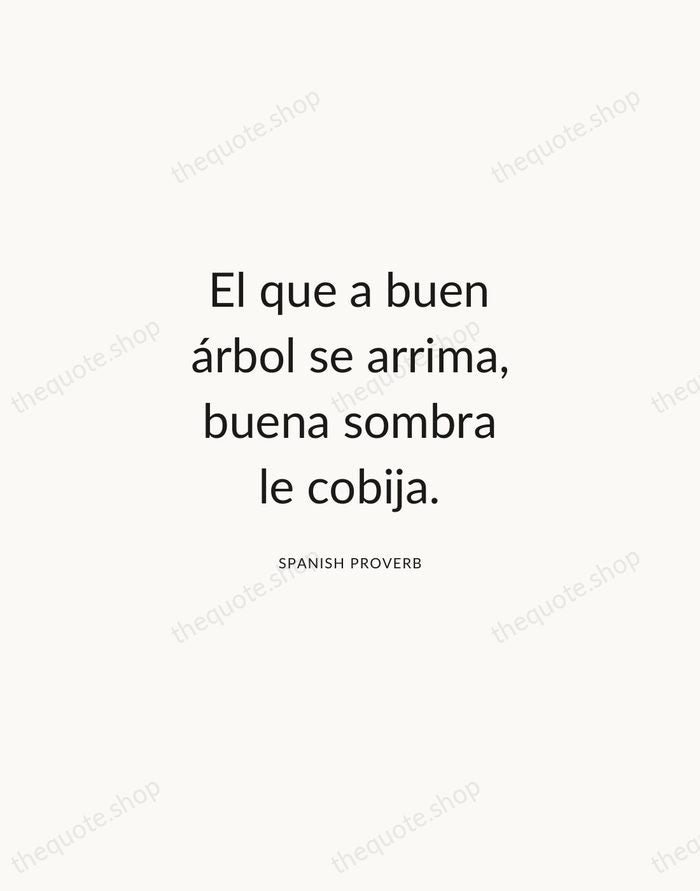 El que a buen árbol se arrima, buena sombra le cobija. — Spanish Proverb — Modern Sans Calm