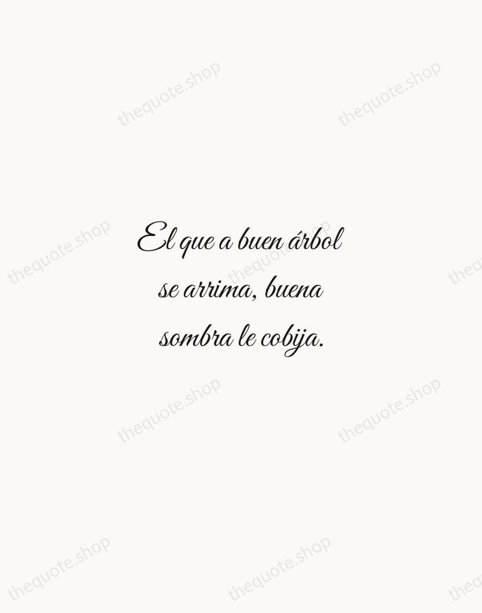 El que a buen árbol se arrima, buena sombra le cobija. — Spanish Proverb — Script Whisper