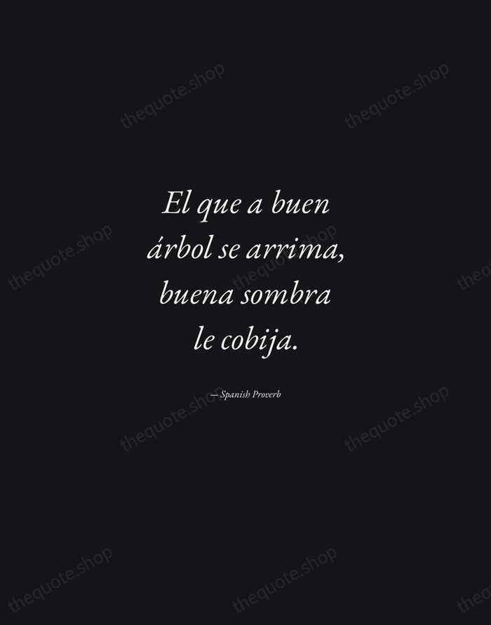 El que a buen árbol se arrima, buena sombra le cobija. — Spanish Proverb — Manuscript Italic