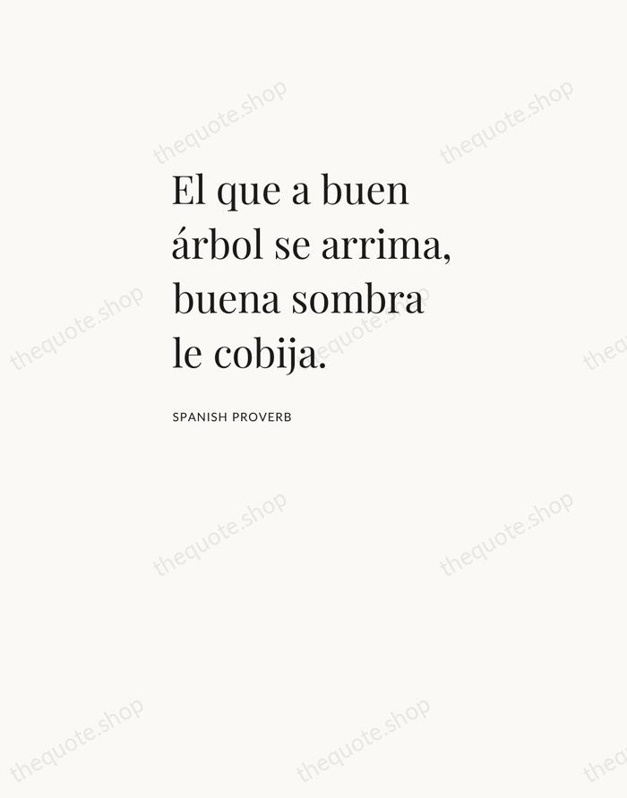 El que a buen árbol se arrima, buena sombra le cobija. — Spanish Proverb — Asymmetric Left