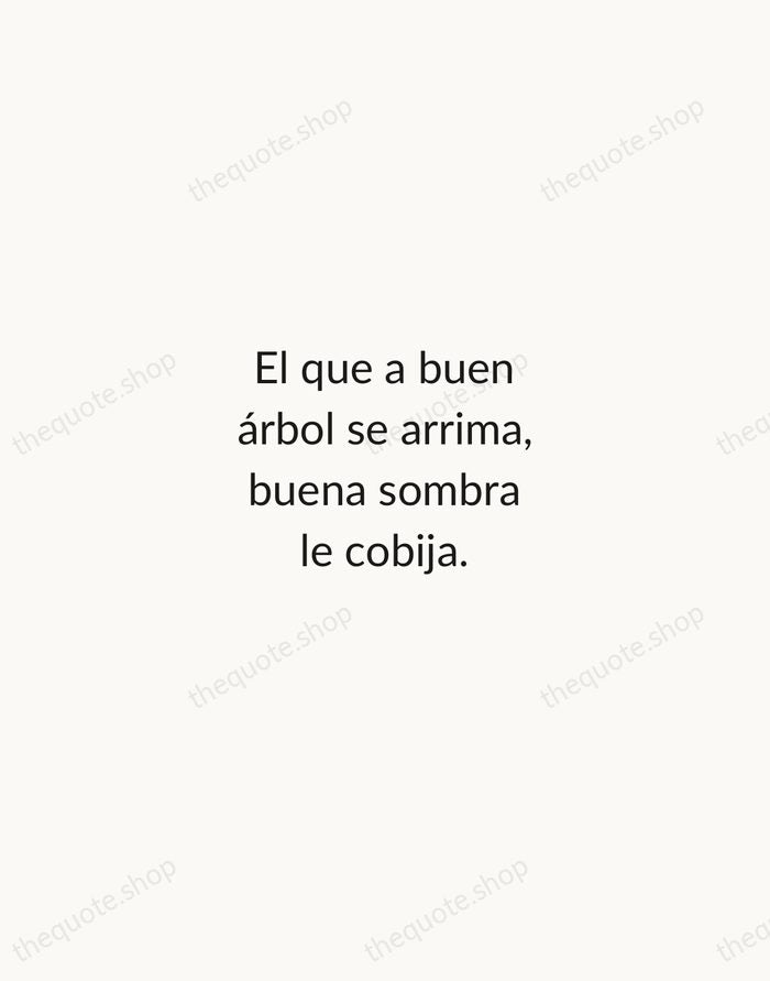 El que a buen árbol se arrima, buena sombra le cobija. — Spanish Proverb — Minimal Unsigned
