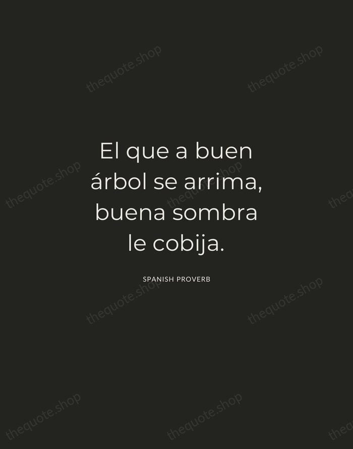 El que a buen árbol se arrima, buena sombra le cobija. — Spanish Proverb — Charcoal Sans