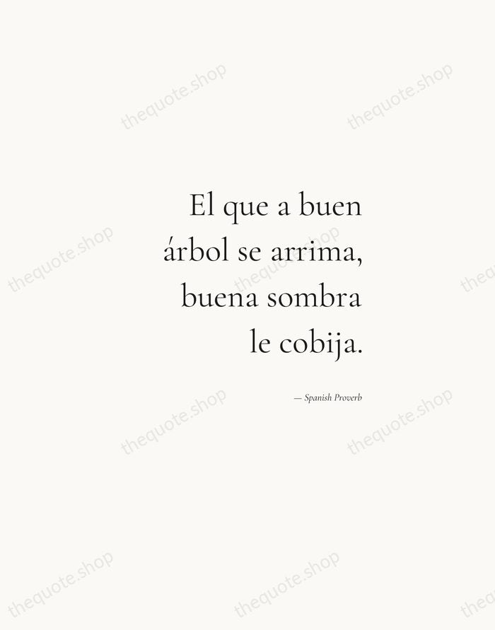 El que a buen árbol se arrima, buena sombra le cobija. — Spanish Proverb — Soft Serif Right