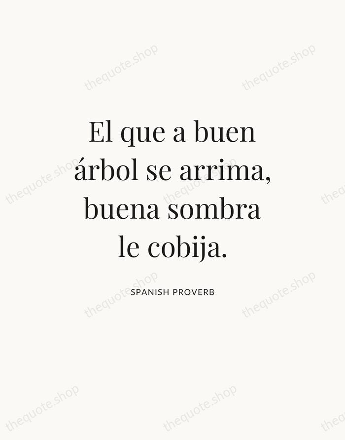 El que a buen árbol se arrima, buena sombra le cobija. — Spanish Proverb — Statement Serif