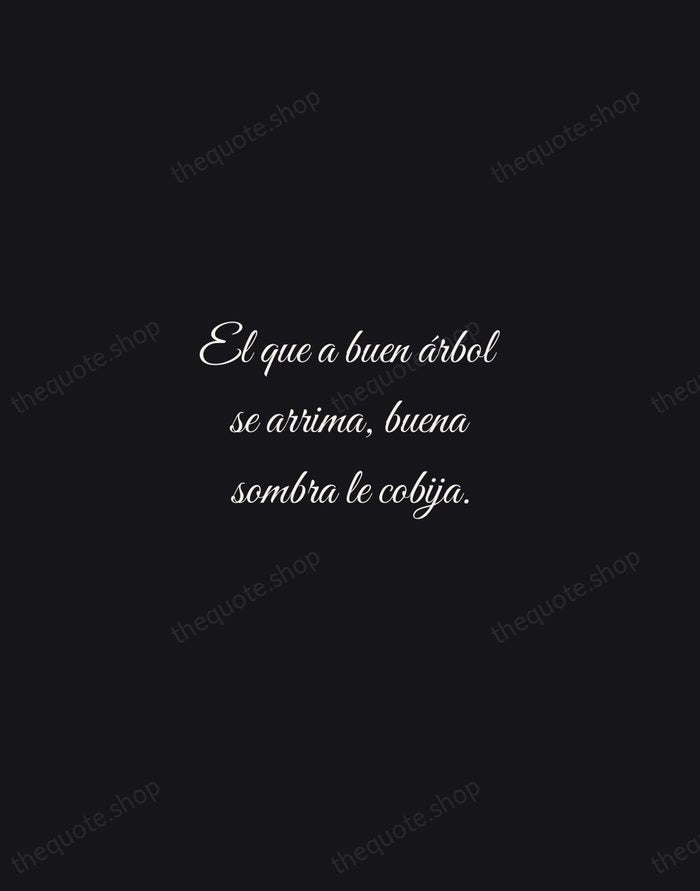 El que a buen árbol se arrima, buena sombra le cobija. — Spanish Proverb — Night Script