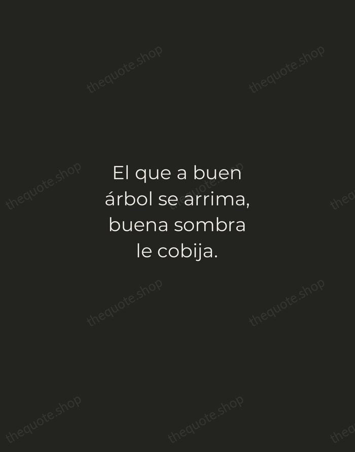 El que a buen árbol se arrima, buena sombra le cobija. — Spanish Proverb — Tracked Caps Unsigned
