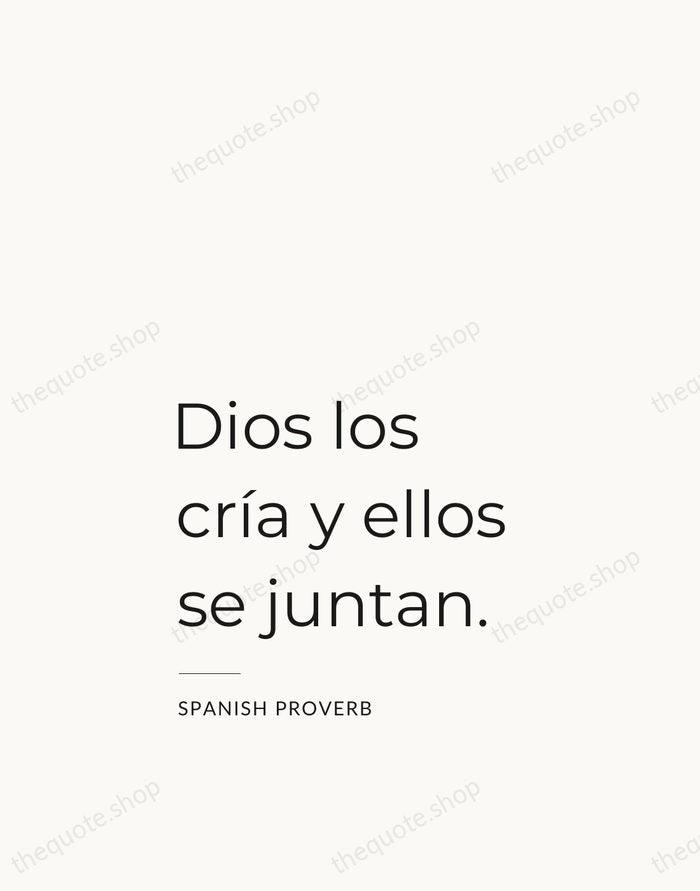 Dios los cría y ellos se juntan. — Spanish Proverb — Studio Left