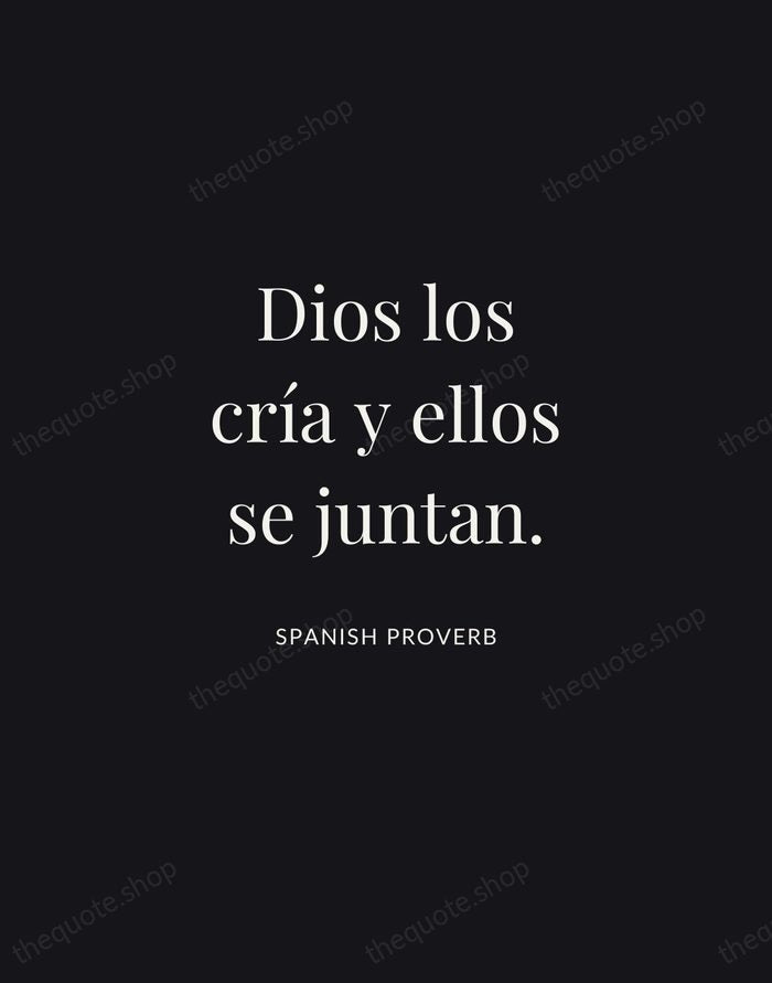 Dios los cría y ellos se juntan. — Spanish Proverb | Printable Wall Art — Midnight Serif