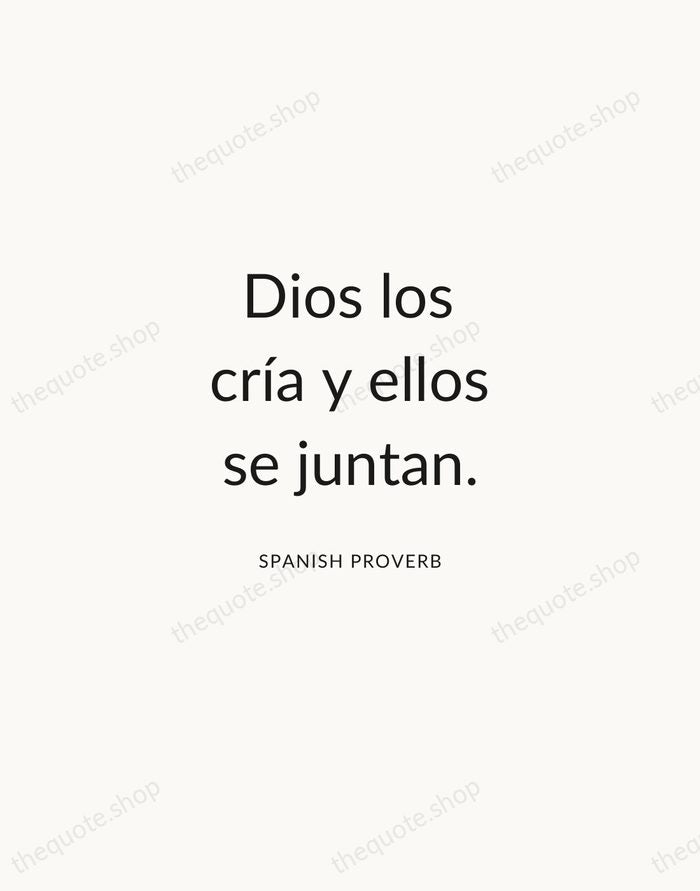Dios los cría y ellos se juntan. — Spanish Proverb — Modern Sans Calm