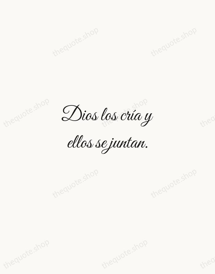 Dios los cría y ellos se juntan. — Spanish Proverb — Script Whisper