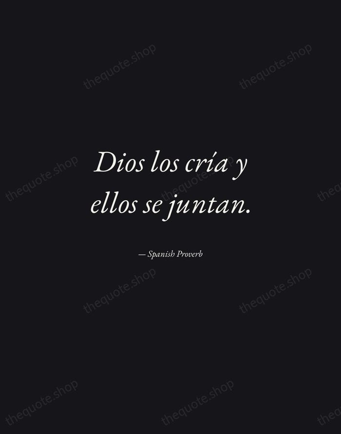 Dios los cría y ellos se juntan. — Spanish Proverb — Manuscript Italic